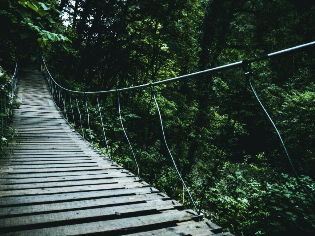 Brown Hanging Bridge